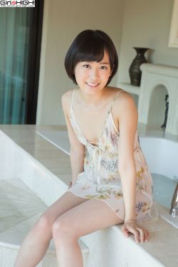 金花和她的女婿全集